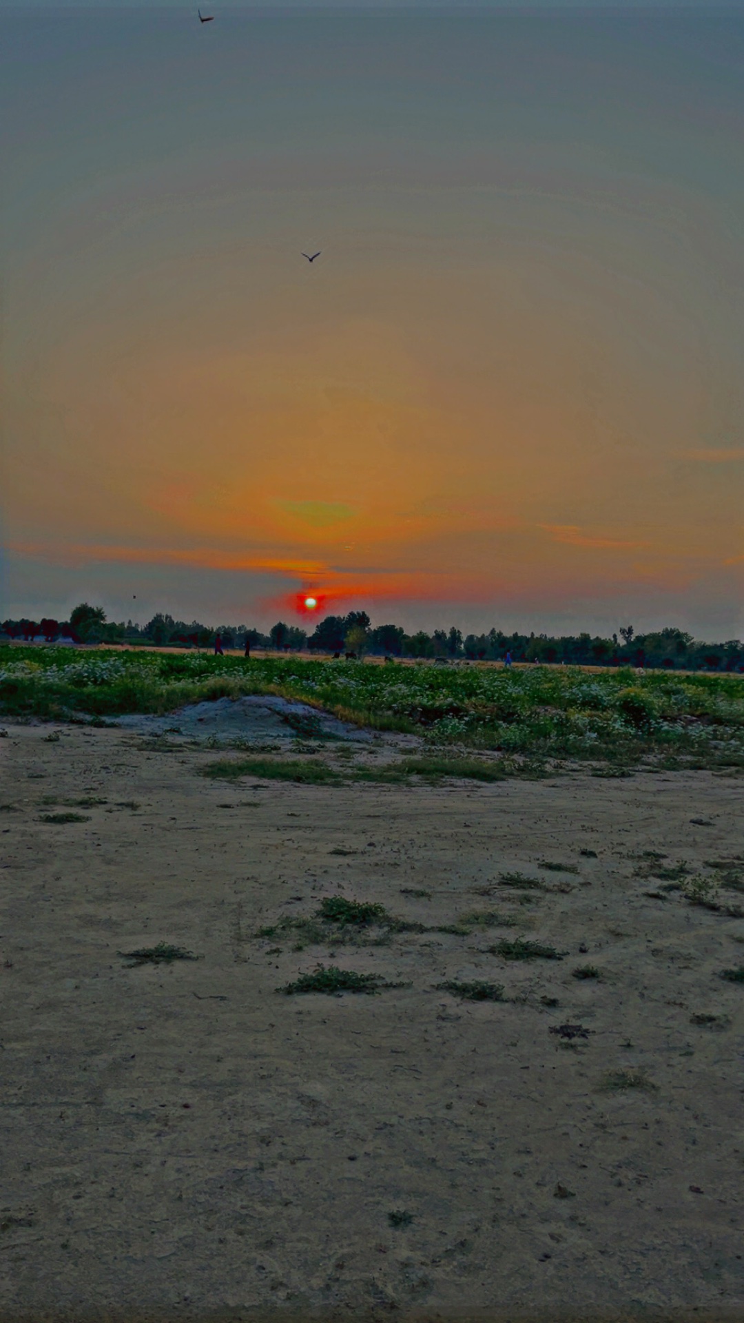 Chasing the Perfect Sunset: A Photographer’s Golden Obsession