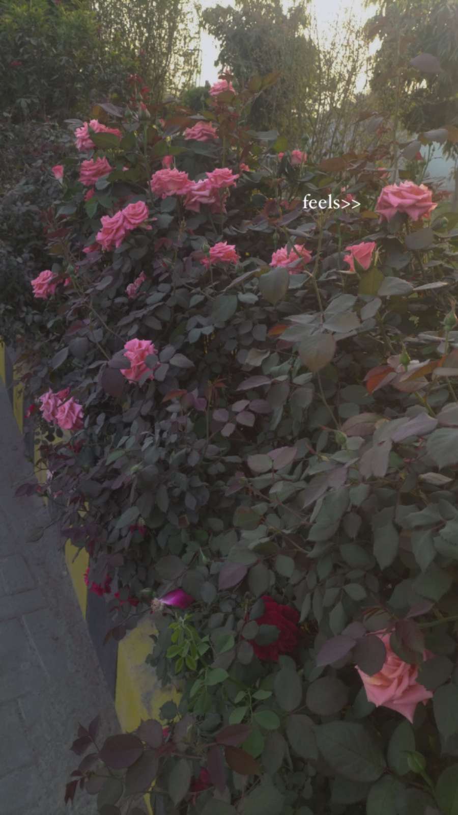 Healthy love doesn’t hurt.It heals.Be hopeful.Be positive