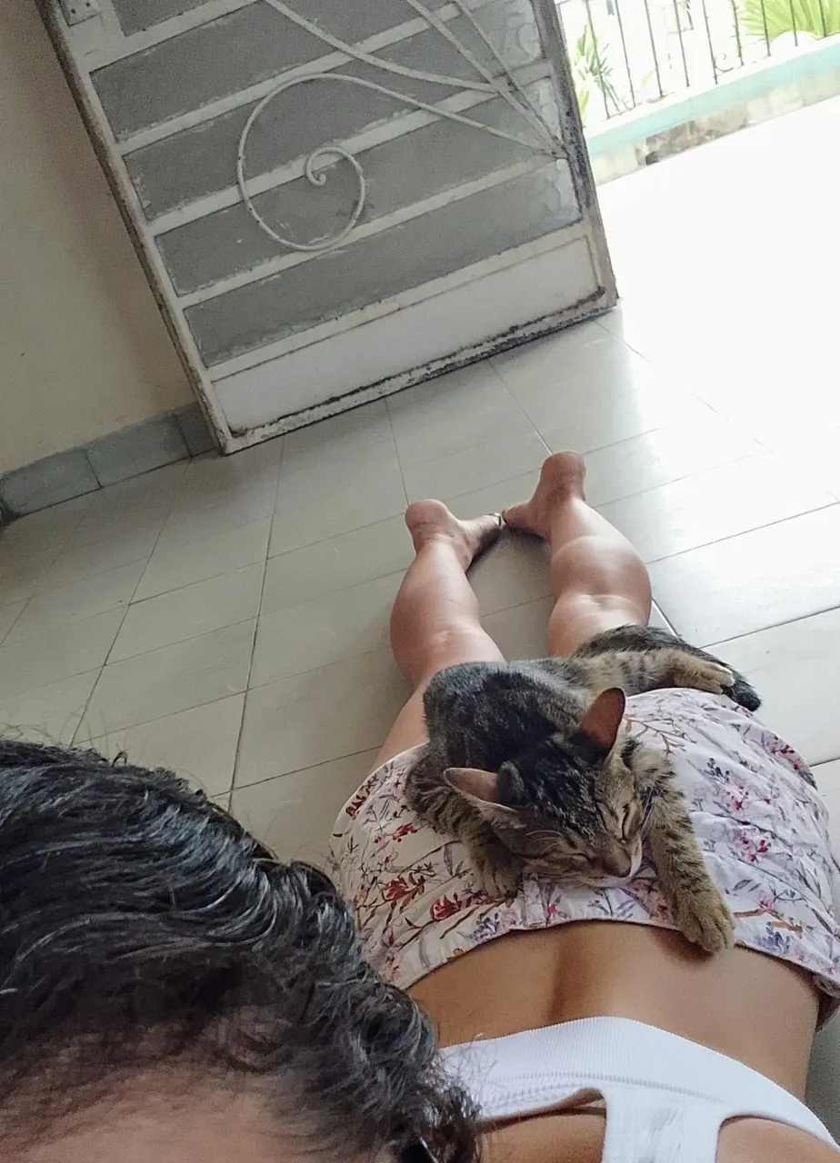 P0tEqNpECV1iSxOj_1000352274.webp