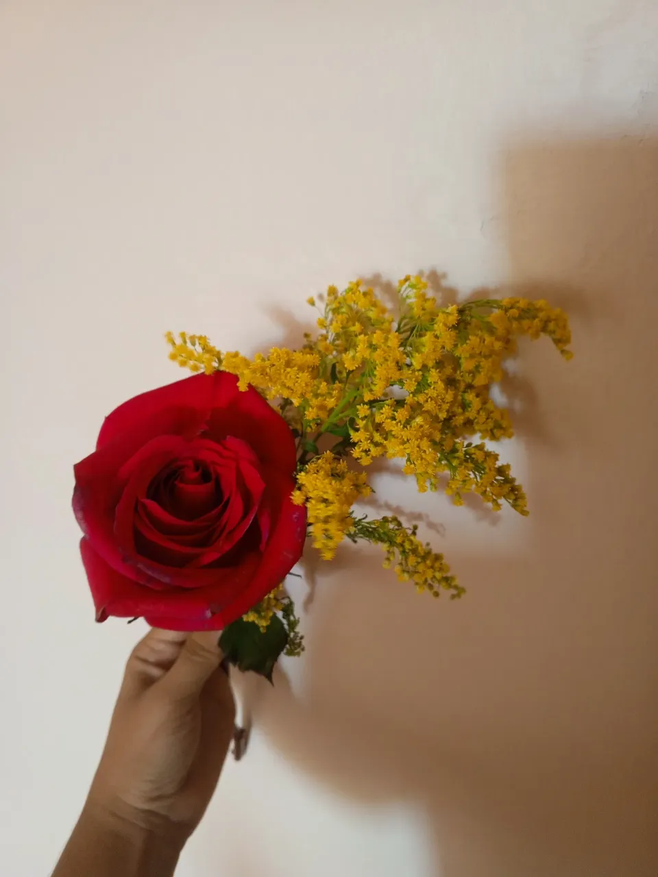 4lw4ed79hyw5fZl4_1000499953.jpg