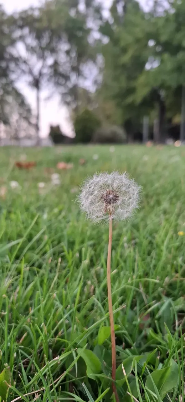 WPn206JgqlqY2i6h_1000564815.webp