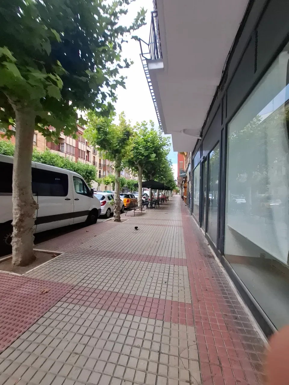 t88HmOdFEvobRTta_1000603312.webp