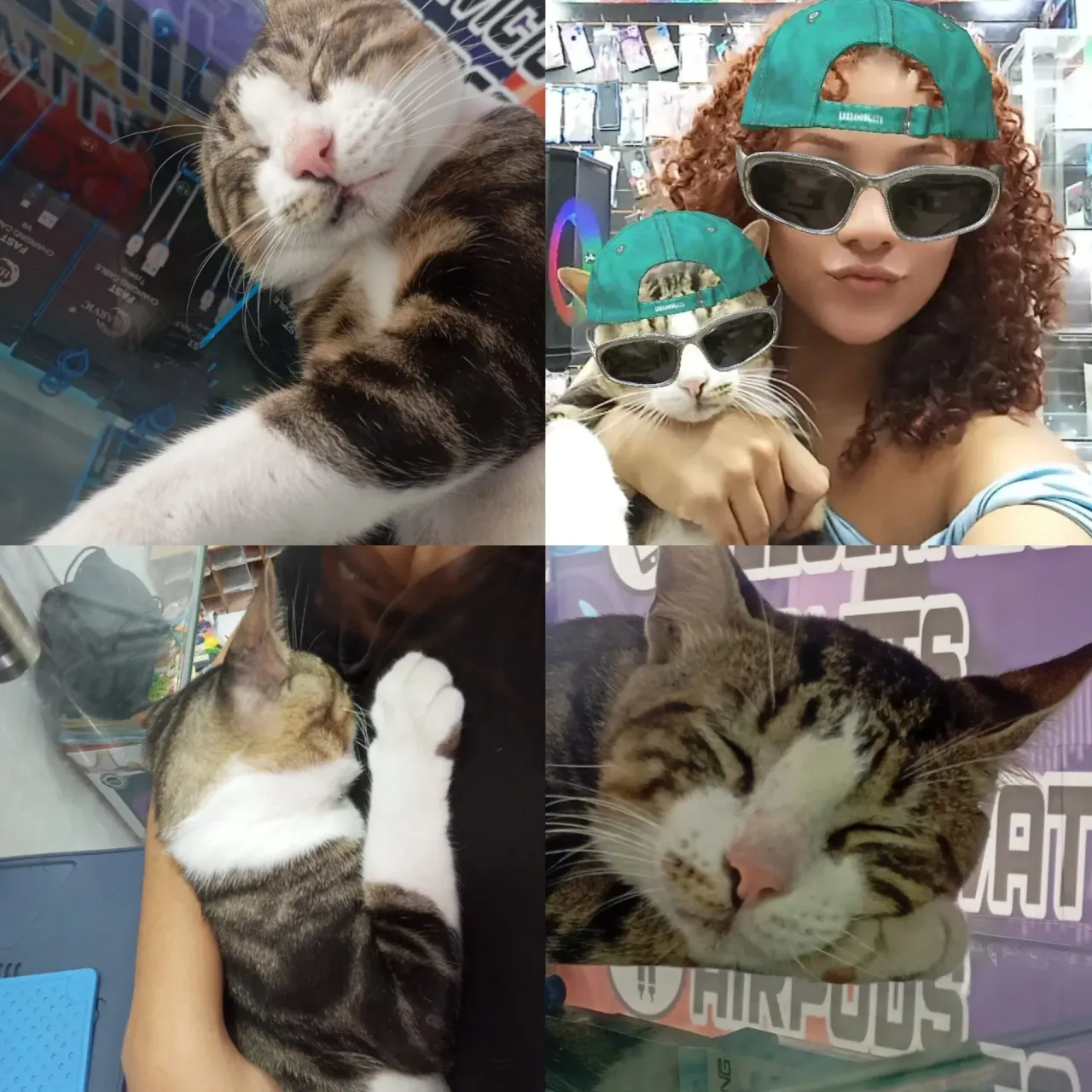 2pLNqxBpcji8uSxZ_1001445166.webp