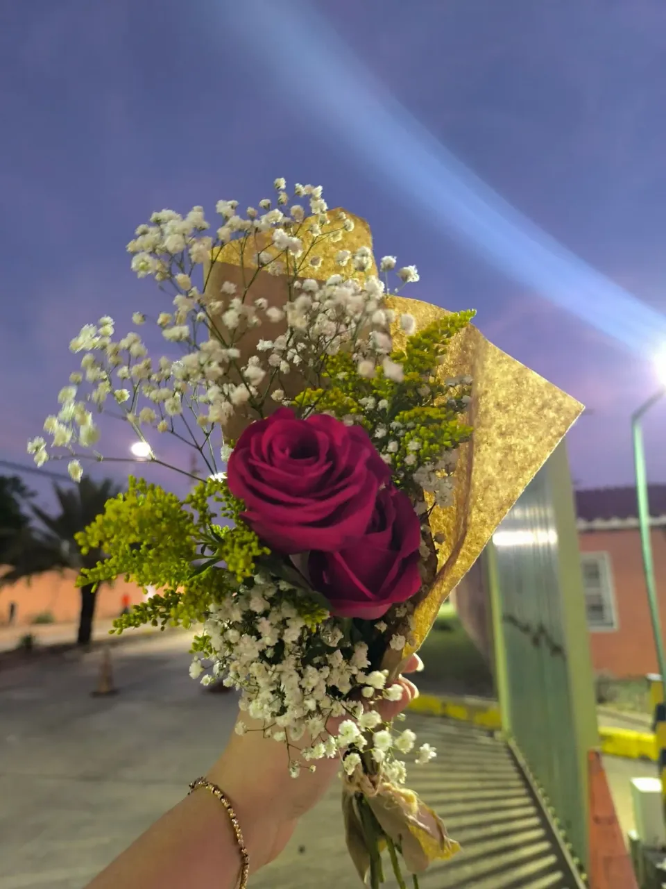 1YYNOFlQQs4XFK6A_1000462616.webp