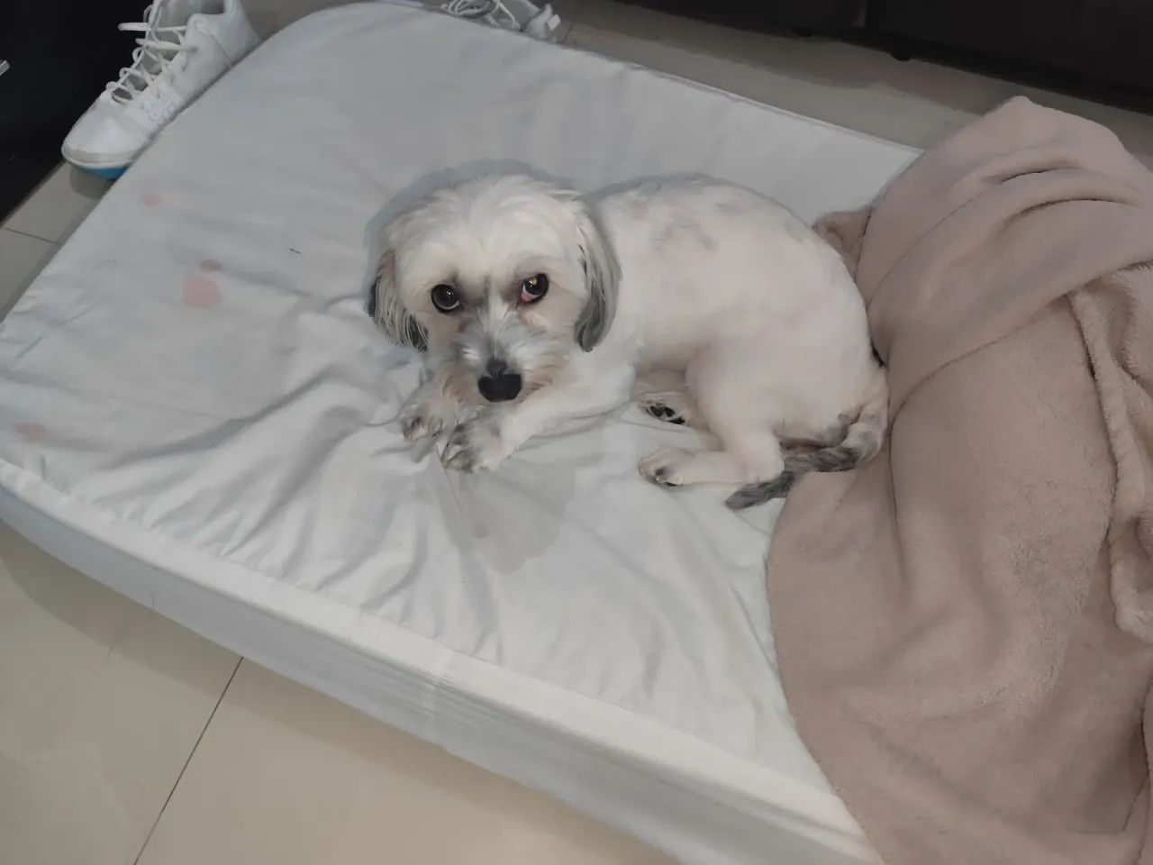 LRSnHq3wUzsJILJH_1000287528.webp