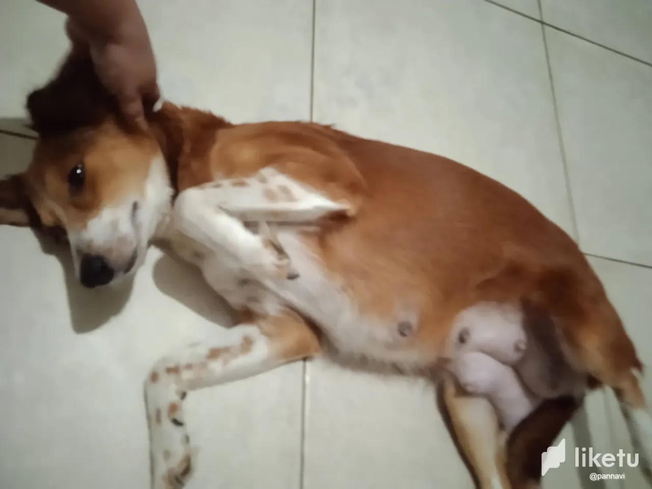 prQiBJ4X9zZzqwFQ_1732298693338.webp