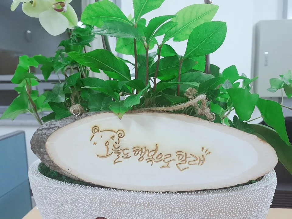 KakaoTalk_20180531_233615445.jpg