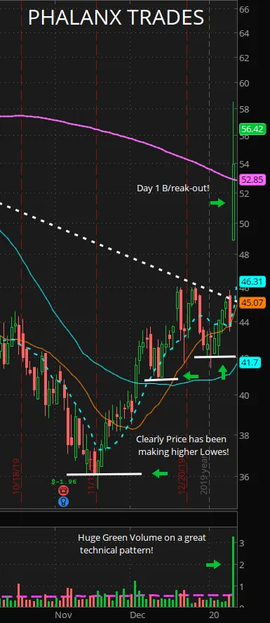 2 - RARE Daily Chart.PNG