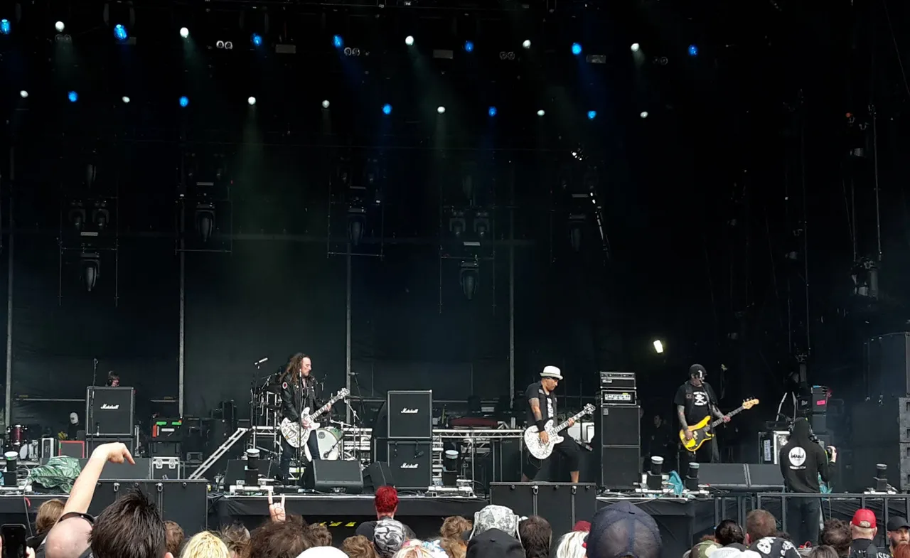 20190810_160842 Wildhearts.jpg