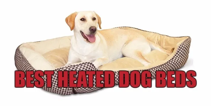 Heated dog bed reviews.jpg