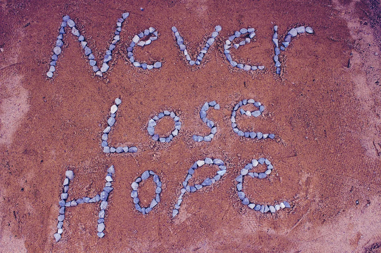 never-lost-hope-2636197_1920.jpg