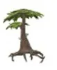 swamp tree with leaves.jpg