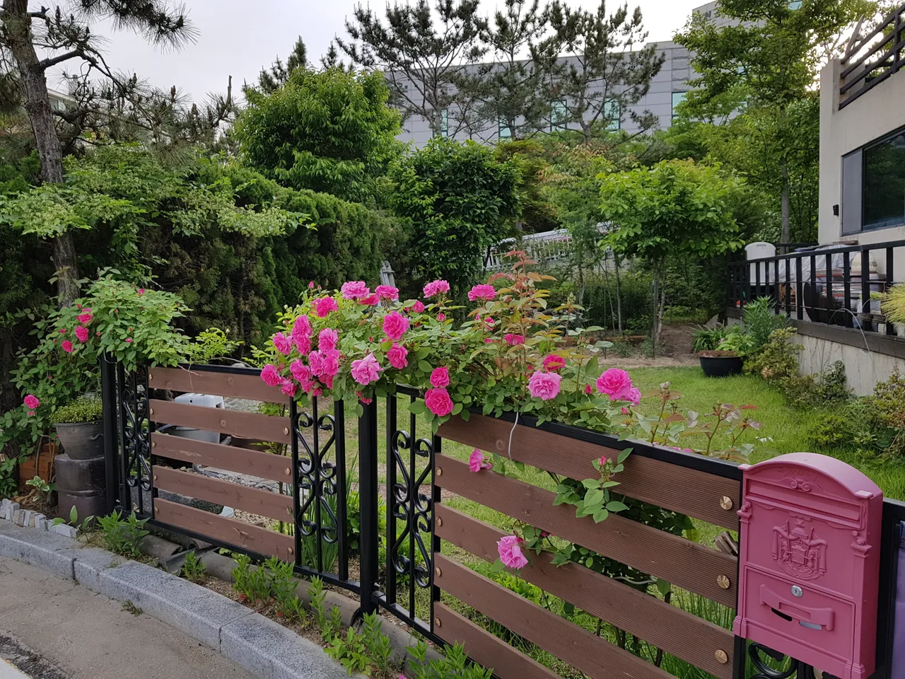 꾸미기_---20180525_182705.jpg