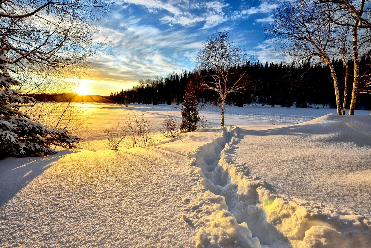 winter-landscape-636634_1280.jpg