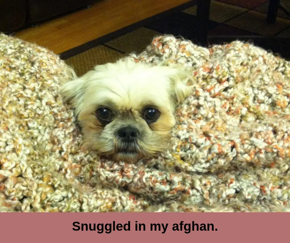 Snuggled in my afghan..png