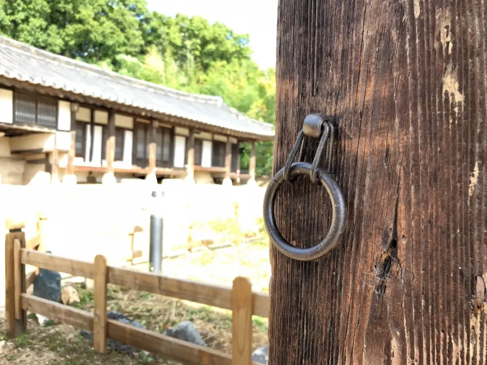 KakaoTalk_20181004_162355293.jpg