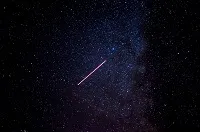 insect night sky small.jpg