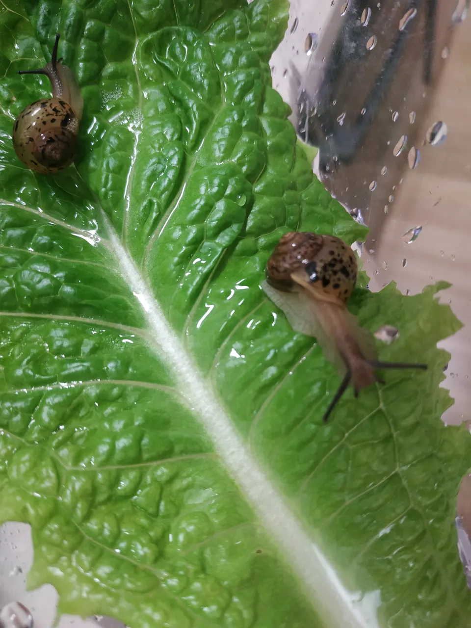 KakaoTalk_20191029_123302757.jpg