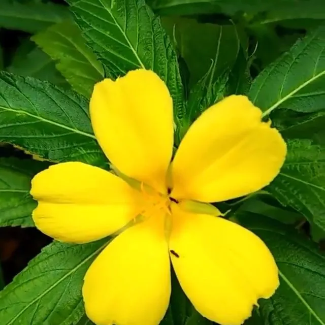 VideoCapture_20190810-104556.jpg