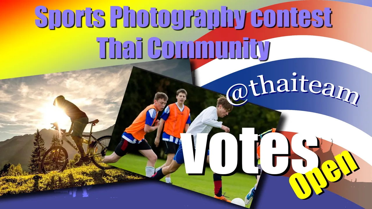 Sports Photography Votes.png