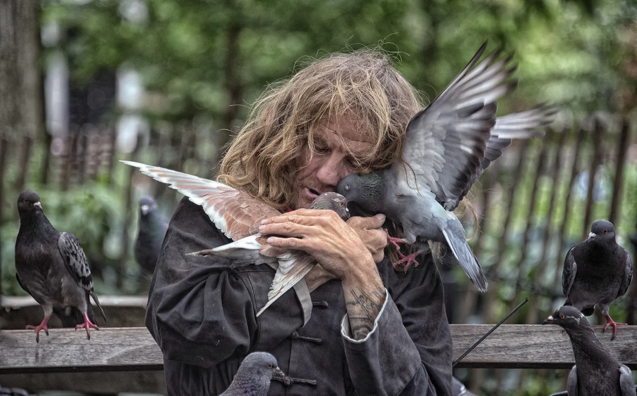 Pigeons_Birds_Men_New_449132.jpg