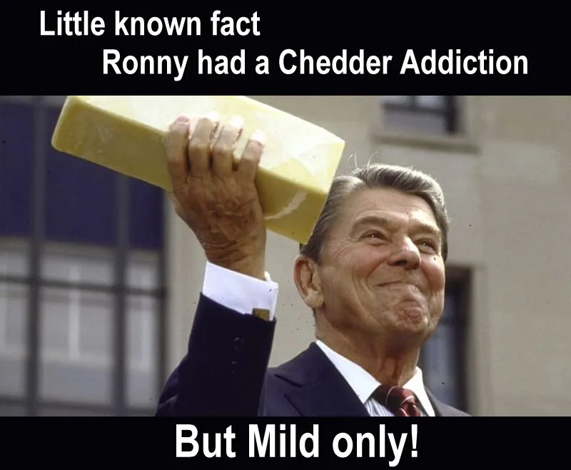 cheeseblock_lactose_gluttony.jpg