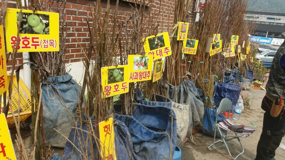 1오일장.jpg