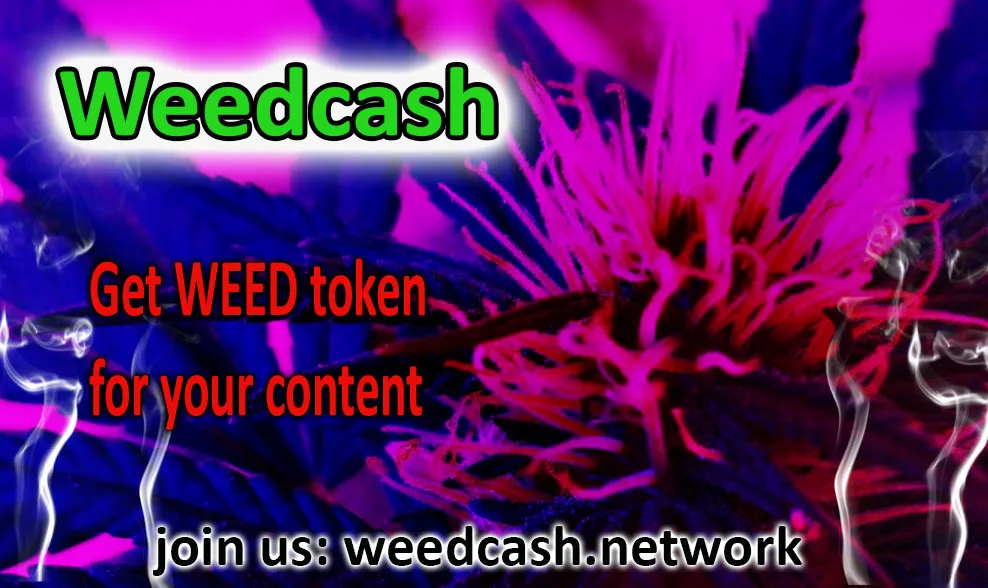 weedcash first2dwsdwdwewaa.jpg