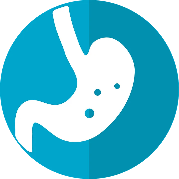 stomach-icon-2316627_960_720.png