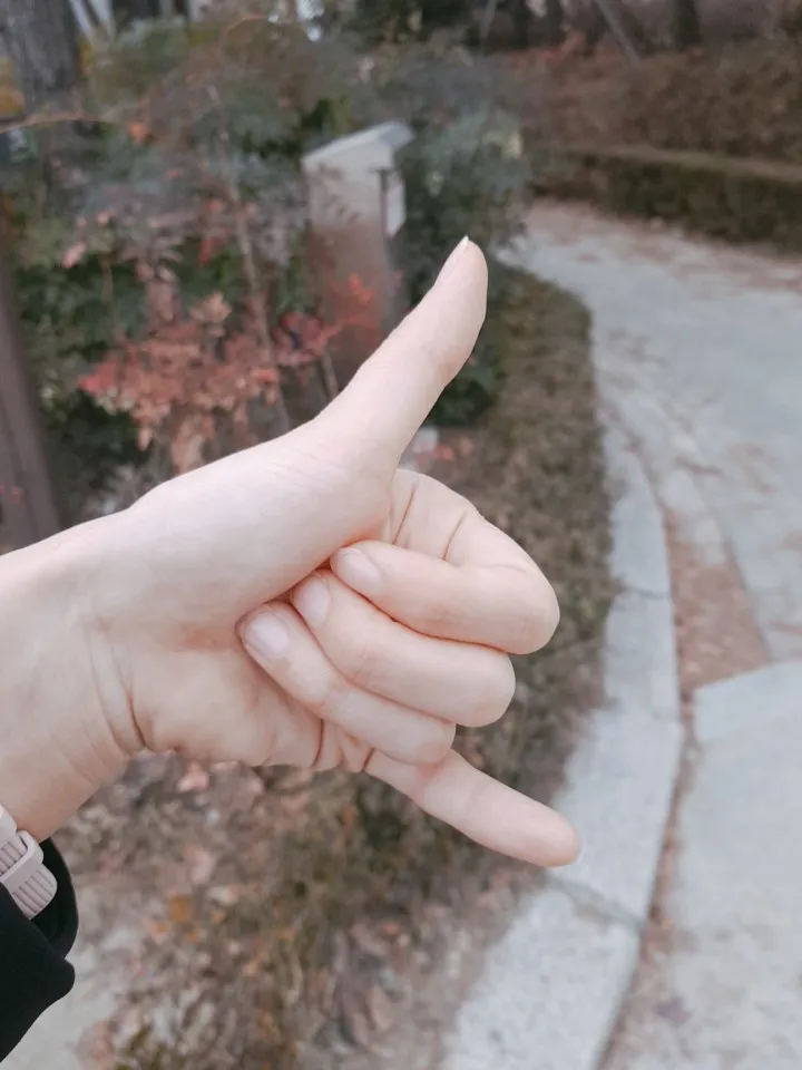 KakaoTalk_20190210_095031445.jpg