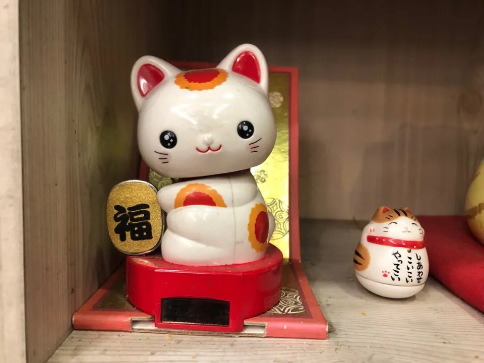 KakaoTalk_20190125_190708354.jpg
