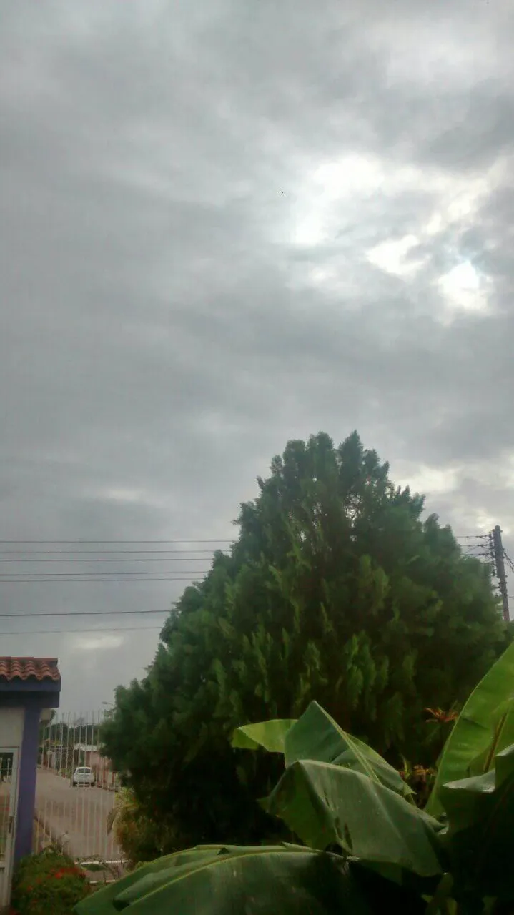 el jardin y el cielo nublado.jpg