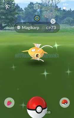 Shiny Magikarp encounter.jpg