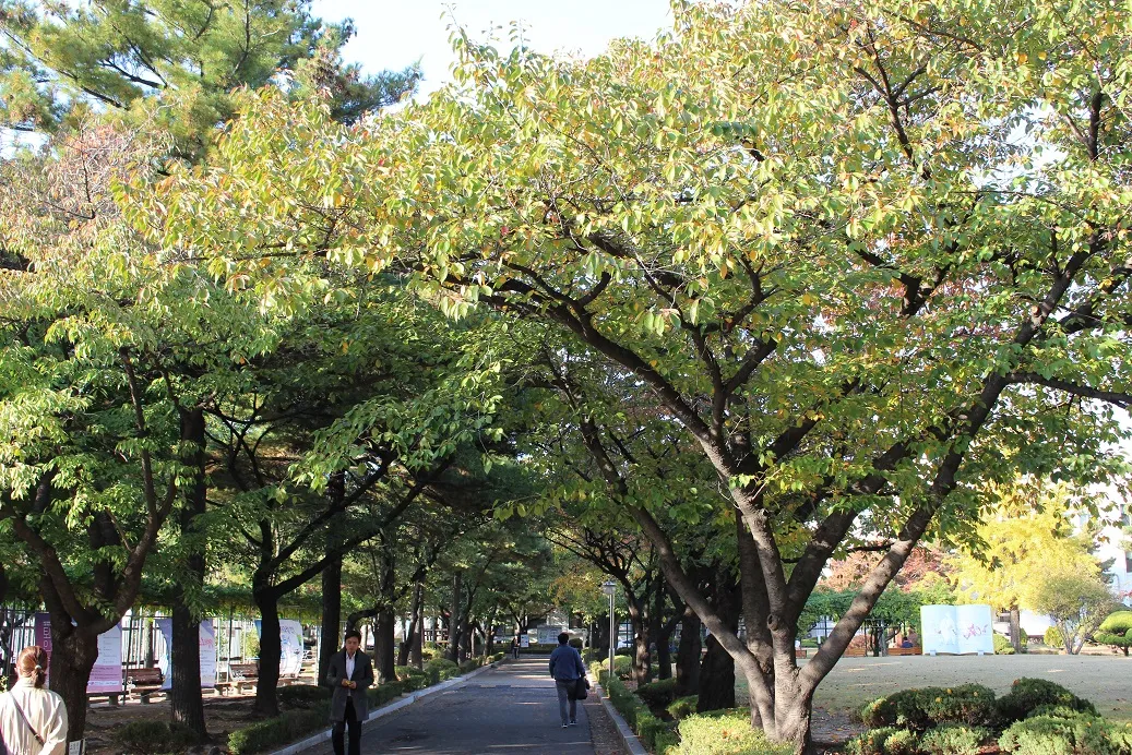 삼청동4.jpg