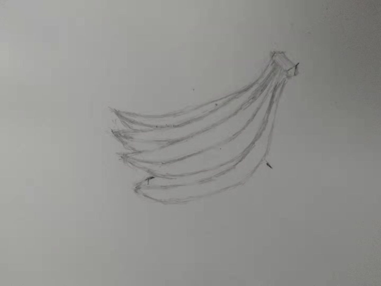 微信图片_201908020125298.jpg