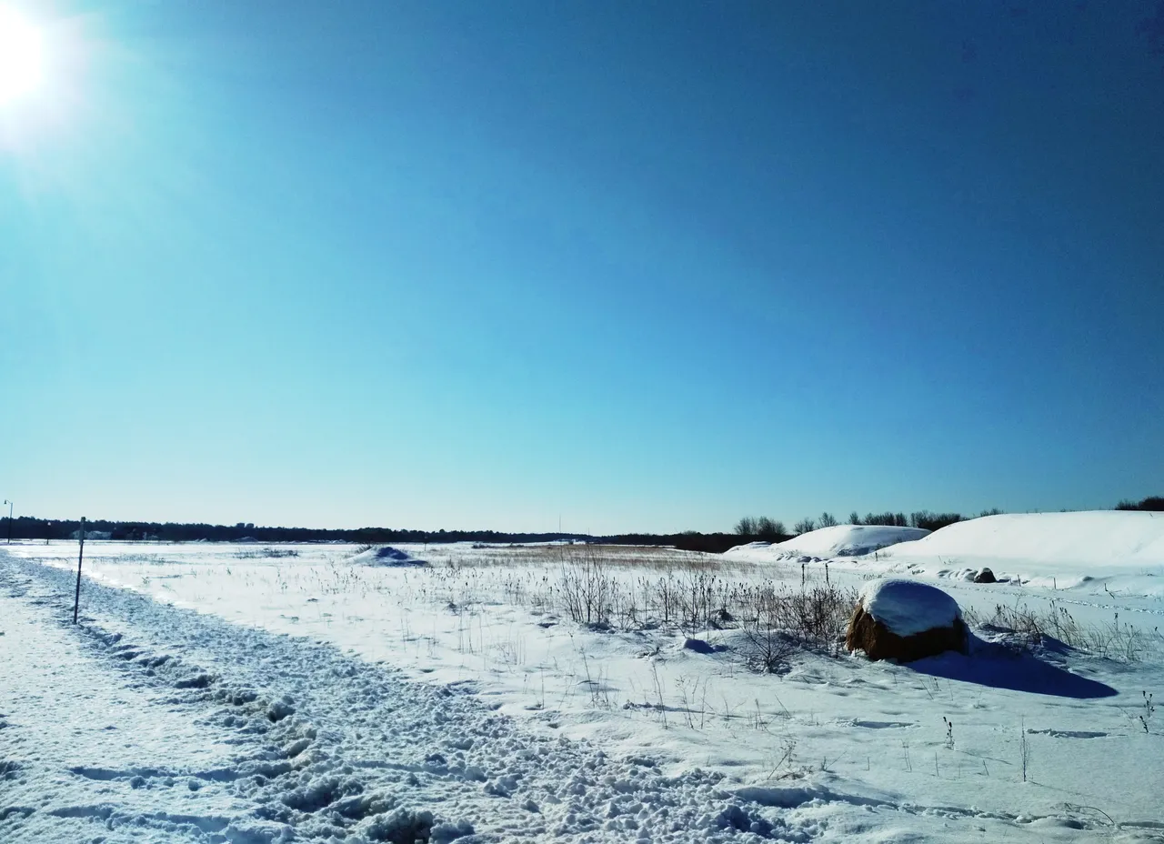 IMG_20190305_082713_modified.jpg