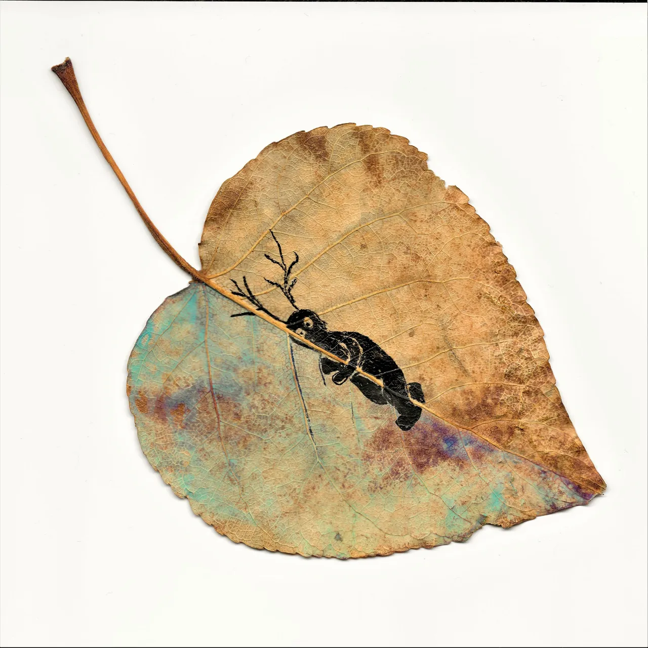 leaf 1