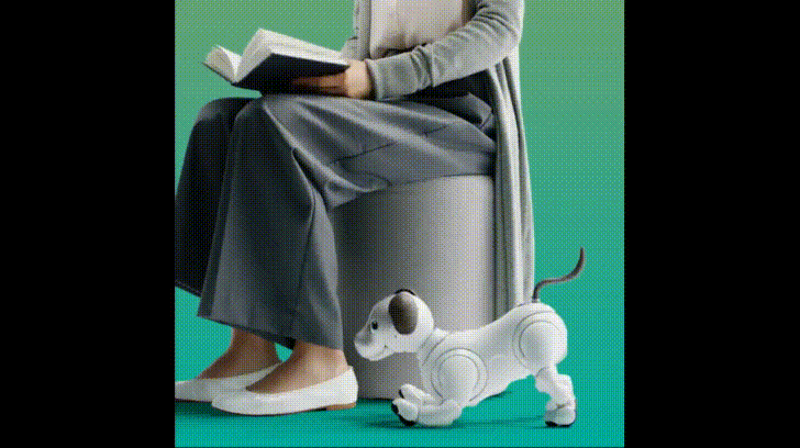 MzJ1A7k - Imgur.gif