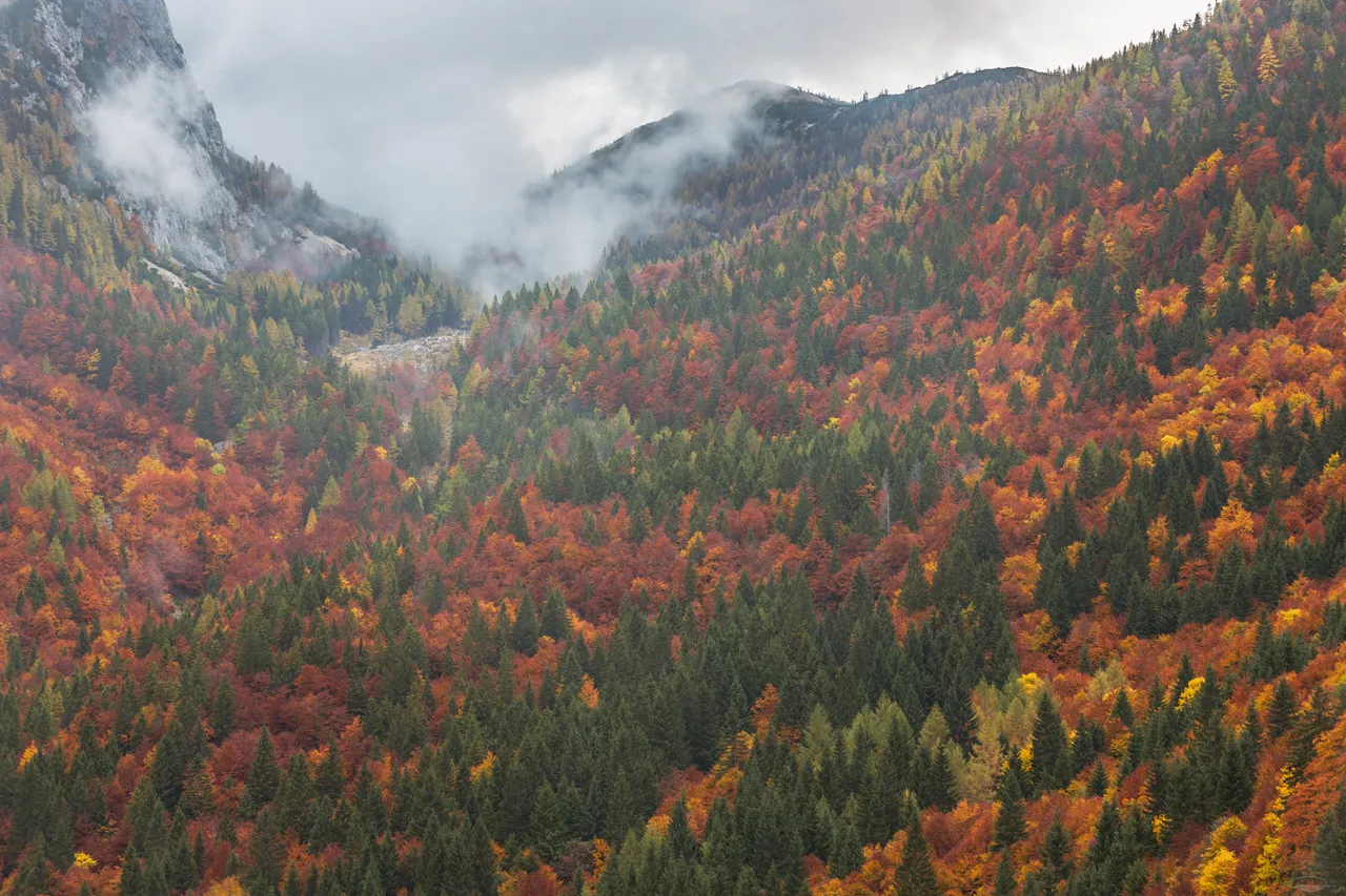 Fall Landscapes - Season Hunt - Week 6