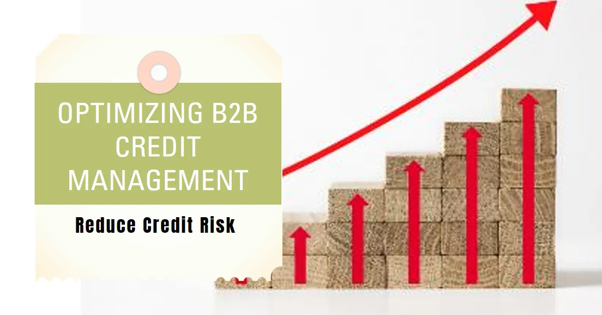Optimizing B2B Credit Management System to Reduce Credit Risk