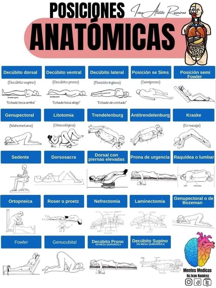 Posiciones Anatomicas Del Paciente Tipos De Posicione 7896
