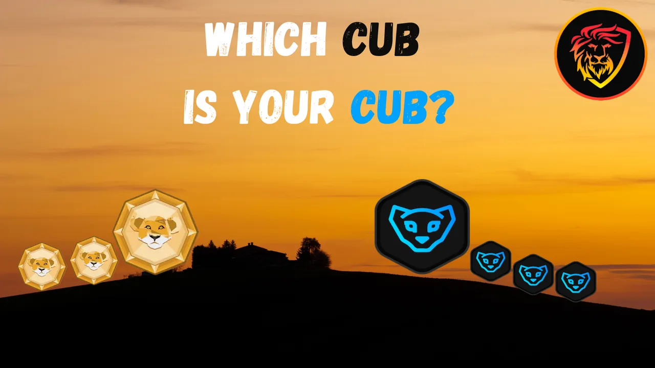 cub polycub projects crypto.png