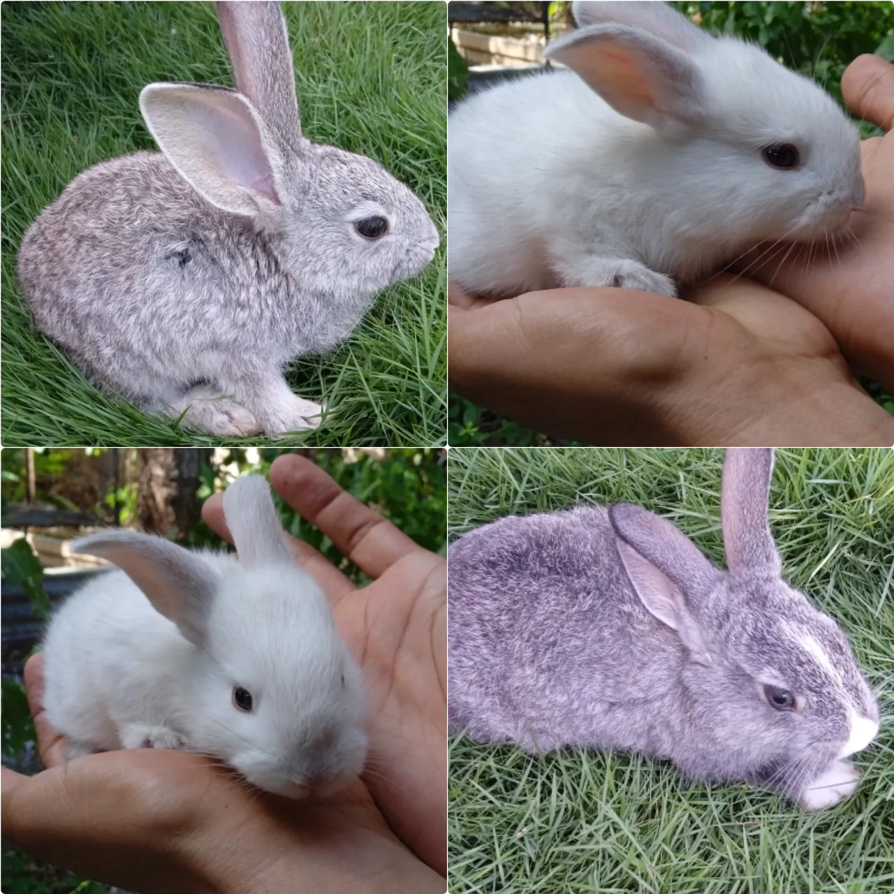 photoGridMaker_20210915_164757750.jpg
