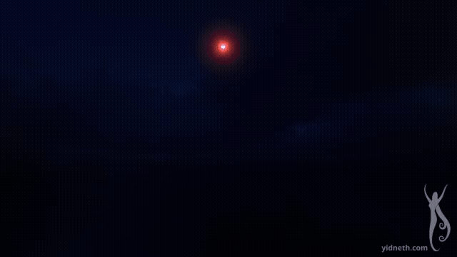 And Dream of  Sheep (1).gif