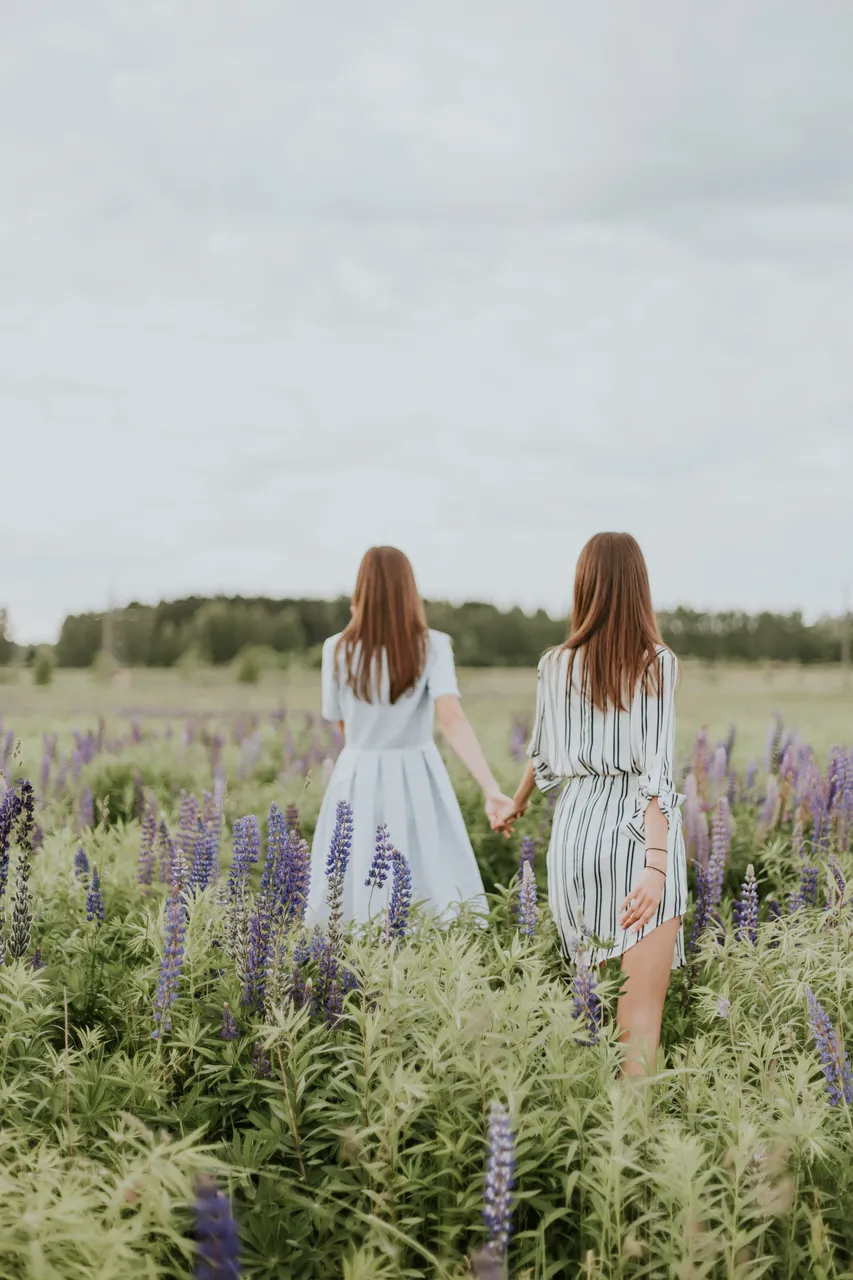 daiga-ellaby-pUd8JucesAc-unsplash.jpg