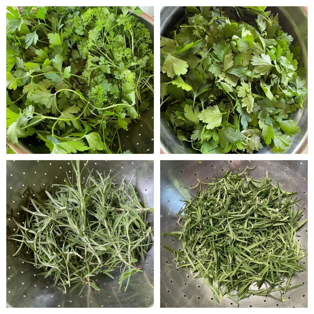 hivegarden-foodiesbeehive-herbs-1.jpg