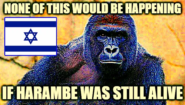 harambe_was_still_alive_meme_flag.jpg