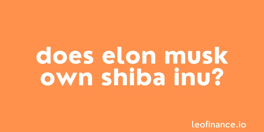 Does Elon Musk own Shiba Inu coin?