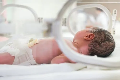 bebe-prematuro-incubadora-500x334.jpg