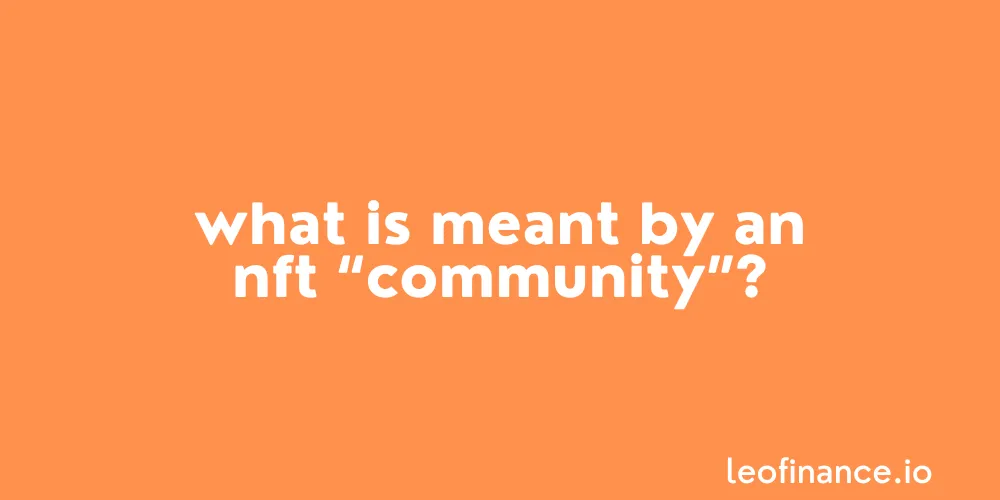 What is meant by an NFT “community”?